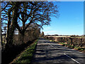 Country road west of Oaksey