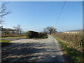 Track between the factory farm units at Merrington Green