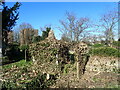 St John the Baptist Churchyard, Eltham