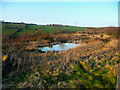 Small pond near a footpath, Kirkheaton