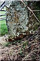 Benchmark on gatepost on north side of road north of Penruddock