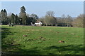 View across field to White Lodge