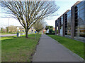 Foot and cycle path along Manor Royal, Crawley