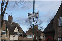 TA1130 : Lime Tree Avenue, Garden Village, Hull by Ian S