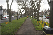 TA1130 : Elm Avenue, Garden Village, Hull by Ian S