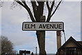 Elm Avenue, Garden Village, Hull