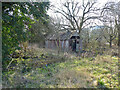 Derelict shed off Hydehurst Lane, Crawley