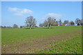 View towards Rowley Farm