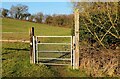 Gate between two fields, near Hartlebury, Worcs