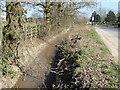 Ditch by James Watt Way, Crawley