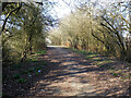 Path from Tinsley Lane North to Radford Road