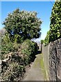 Urban footpath, leading to Paganel Road