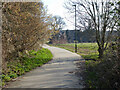 Path from Tinsley Green to Somerley Drive, Forge Wood, Crawley