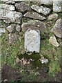 Old Boundary Marker beside the lane from Henwood to Wardbrook Farm