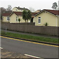 Exotic trees in a Whittle Drive garden, Malpas, Newport