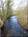 The Laver from Galphay Mill Bridge