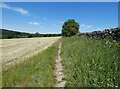 Path along the western edge of Bradgate Park