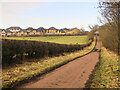 Wishaw Low Road looking towards Cleland