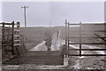 NO2793 : Cattle grid and signs near Buailteach by Richard Sutcliffe