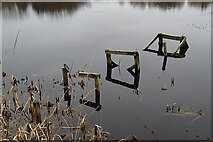 NJ3159 : Reflections of a Jetty by Anne Burgess