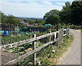 Hill Hole Quarry Allotments in Markfield