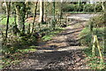 Path fording small stream near Awbridge House