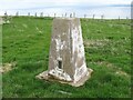NH8066 : Triangulation Pillar, Gallow Hill by Adrian Taylor