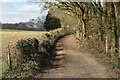 Track towards Bunny Lane