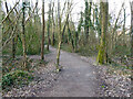 Path through the Hawth, Crawley