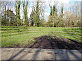 Amphitheatre, The Hawth, Crawley