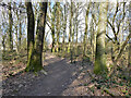 Path through the Hawth, Crawley