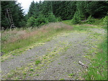 NS6207 : Observation platform beside track in Lochingirroch Forest by Chris Wimbush
