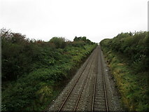 W5984 : The railway to Mallow by Jonathan Thacker