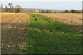 Bridleway to Newport Road with Tyringham Hall in the distance