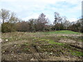 Glimpse of a pool above New House Farm, Church Preen