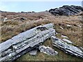 NC3971 : Rock Outcrops, Faraid Head. by David Bremner