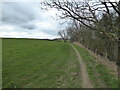 Path line along the ridge