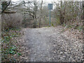 Path, Rathlin Road Meadow, Pond and Wood, Crawley