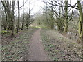 Footpath beside the River Colne near Colne Bridge