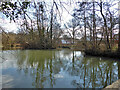 Rathlin Road Meadow, Pond and Wood, Crawley