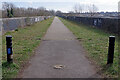 Viaduct Cycleway