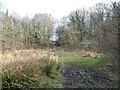 Rathlin Road Meadow, Pond and Wood, Crawley