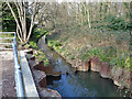 Weir, Broadfield Brook, Crawley (with duck)