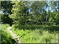 Leicestershire Round path near Markfield