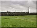 View towards Home Farm