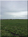 NO7871 : Fields near Kenshot Hill trigpoint by thejackrustles