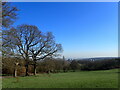 View from Shrewsbury Park