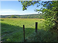 Field next to Cover Cloud