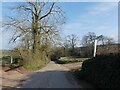 Barons Wood Cross