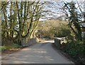 Great Wooden Bridge